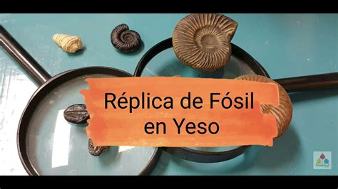 como hacer una replica deun fosil